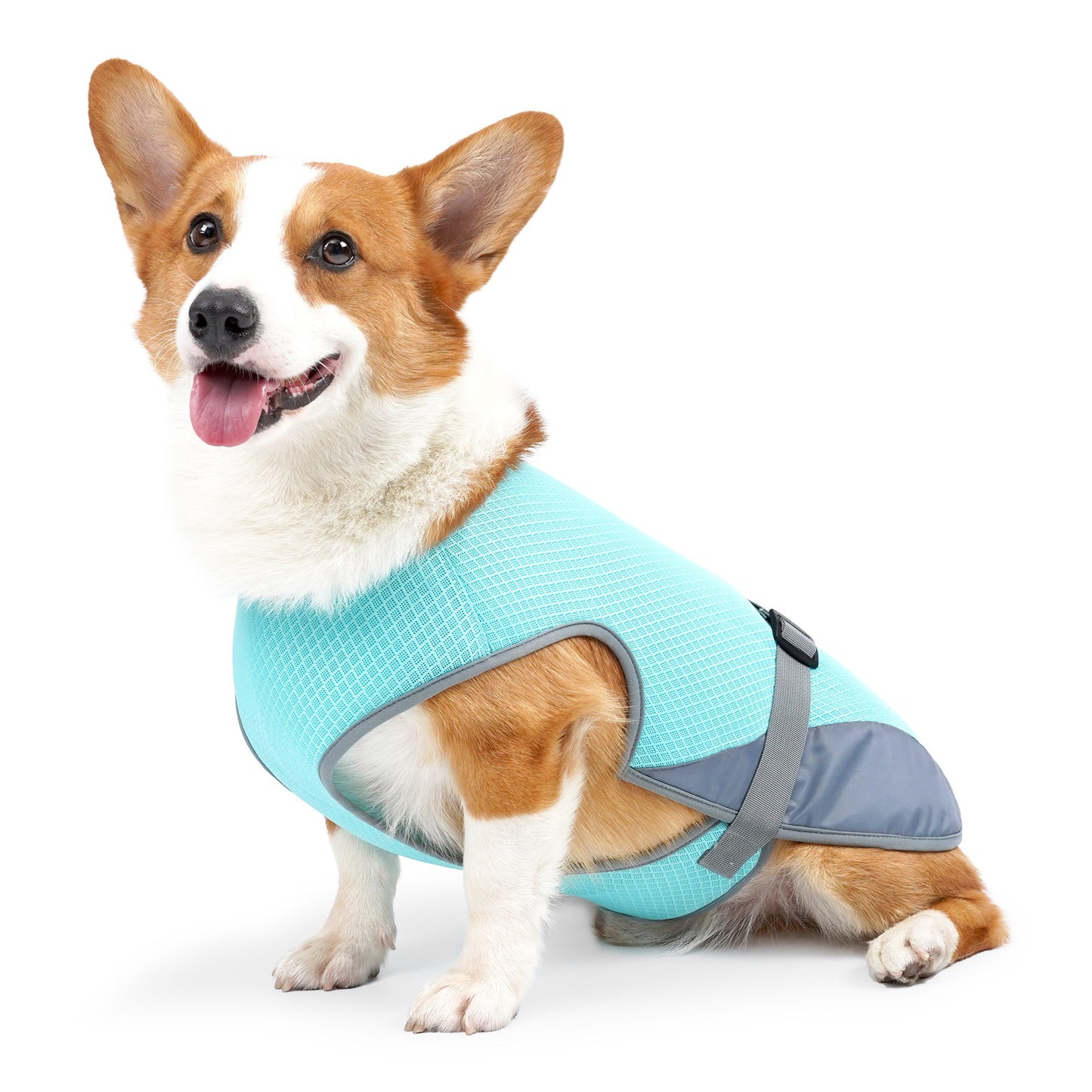 PawPopi™ Cooling Vest for Dogs