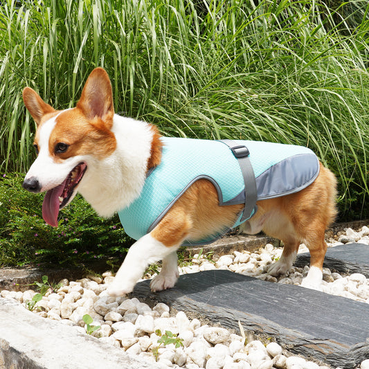PawPopi™ Cooling Vest for Dogs