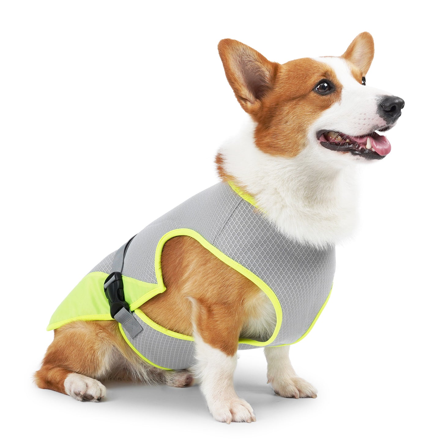 PawPopi™ Cooling Vest for Dogs