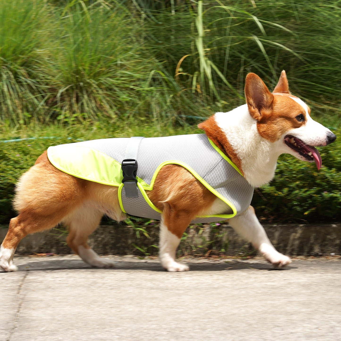 PawPopi™ Cooling Vest for Dogs