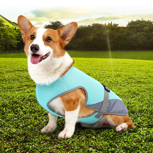 PawPopi™ Cooling Vest for Dogs